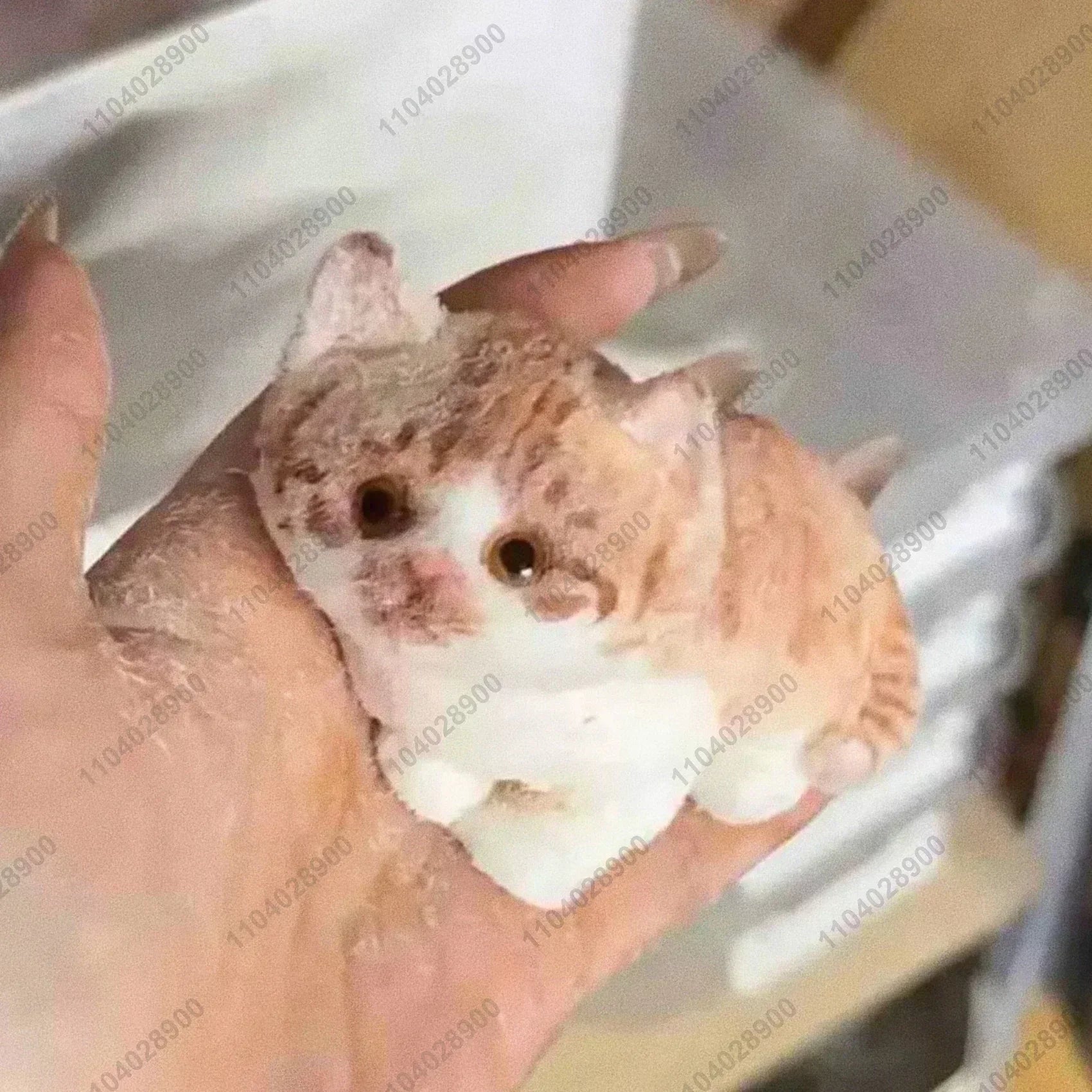 COLLECTION LIMITÉ Chaton Kitty fait main : Taba, chaton moelleux en silicone, chat doux,  jouet pour se détendre et évacuer le stress