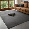 VIKAMA Tapis de velours corail moderne, doux et antidérapant Salon, chambre à coucher, grand espace, jeux pour enfants, tapis de sol pour la décoration intérieure