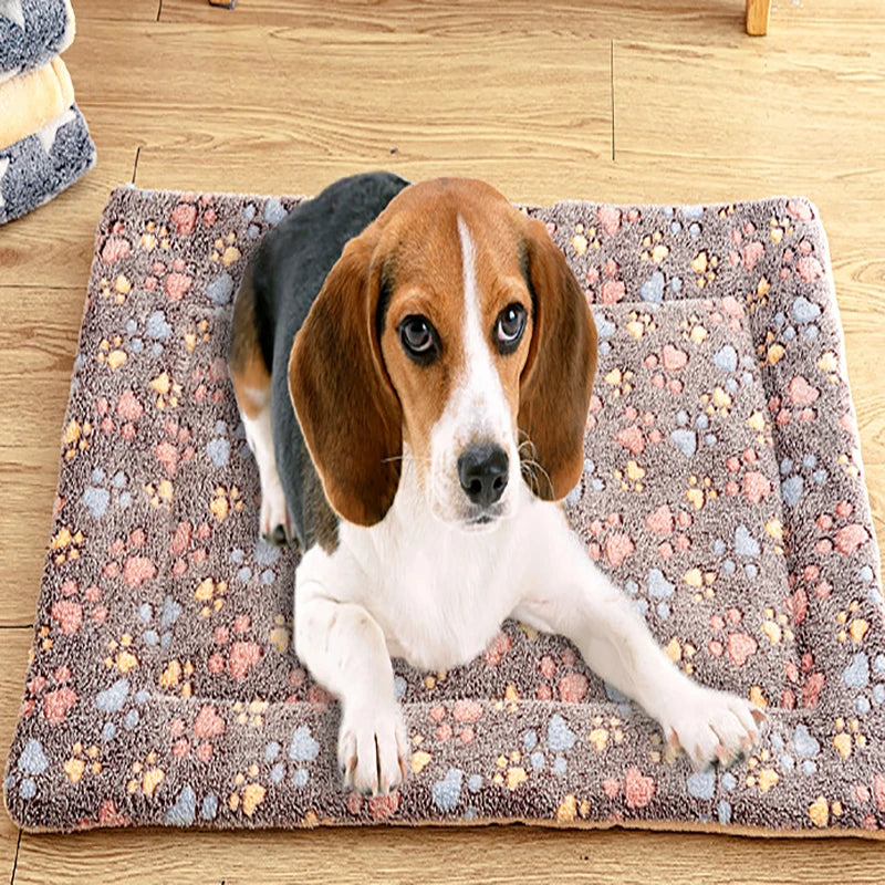 Tapis de couchage pour animaux, lit pour chiens, lit pour chats, fourrure douce, couverture épaissie, coussin en velours à usage domestique, empreinte chaude lavable, couverture motif étoile